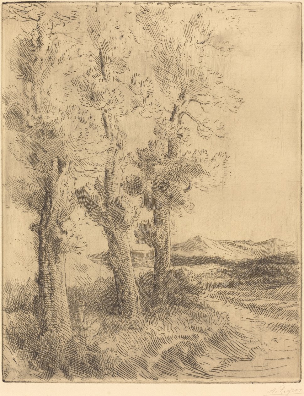 Žena čte: Lekce pod stromy La liseuse: Čtení pod stromy. od Alphonse Legros