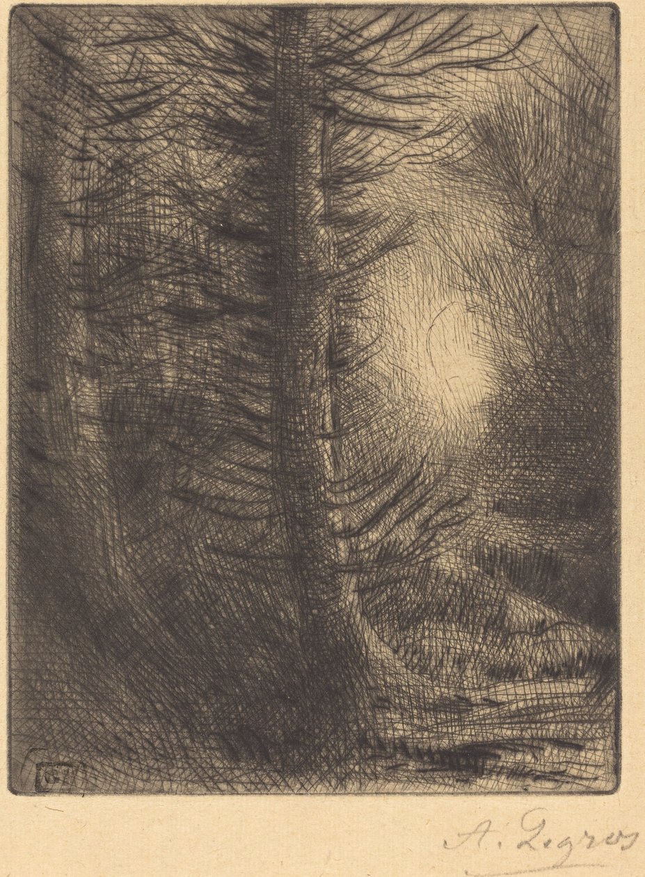 Lesy v zimním slunci, 1. deska od Alphonse Legros
