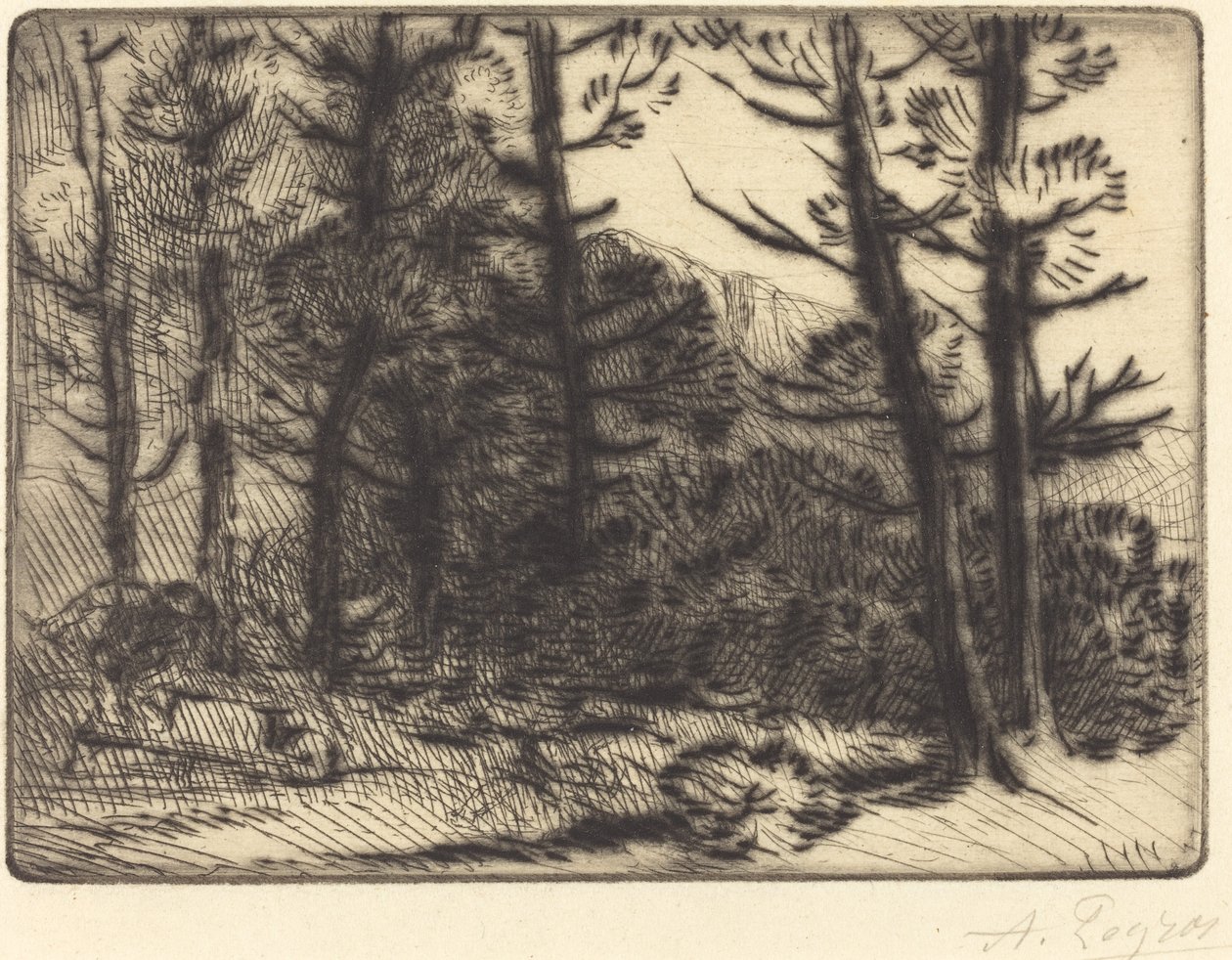 Lesy v zimním slunci, 2. deska od Alphonse Legros
