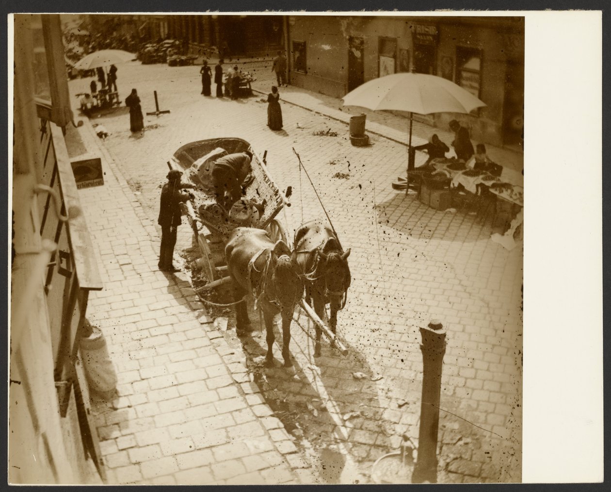 [Pohled z okna Muchova bytu, poblíž Amalienstrasse, Mnichov] od Alphonse Maria Mucha