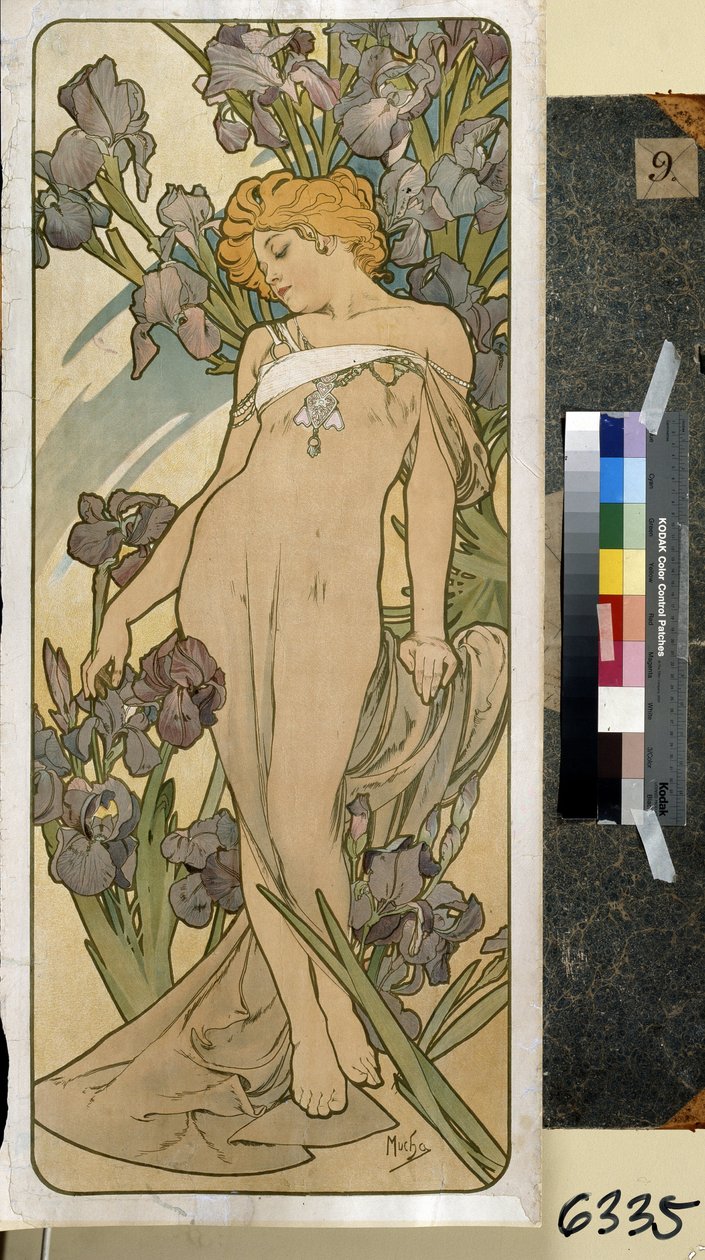 Iris (součást řady květin). Umělecké dílo Alfonse Marie Muchy (Alphonse Marie Mucha od Alphonse Marie Mucha
