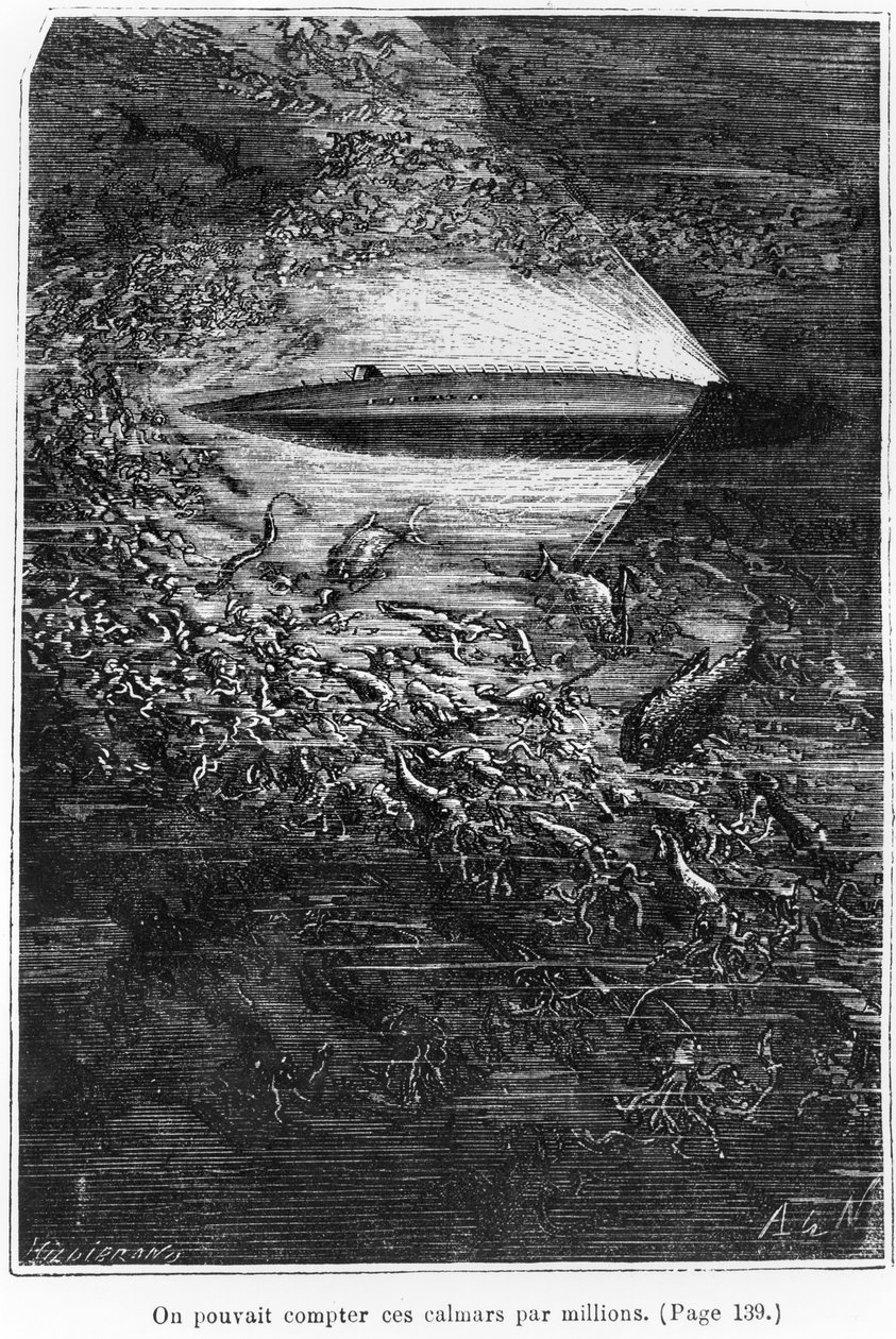 Ilustrace z 