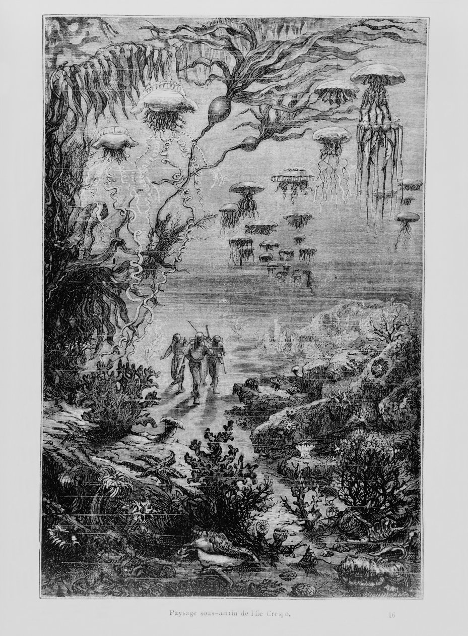 Ilustrace z 