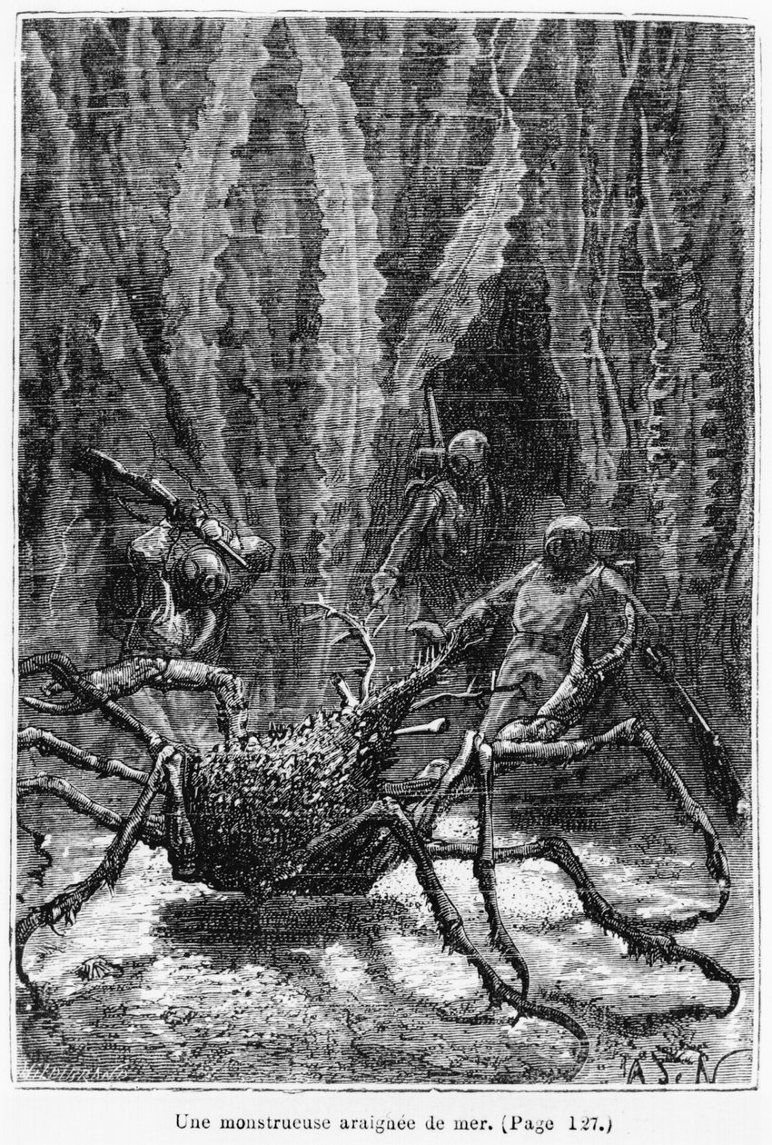 The Spider Crab, ilustrace z „20 000 mil pod mořem“ od Julese Verna (1828-1905), vyrytý Henri Theophilem Hildibrandem (1824-97) Paris, Hetzel, vydáno 1877 od Alphonse Marie de Neuville