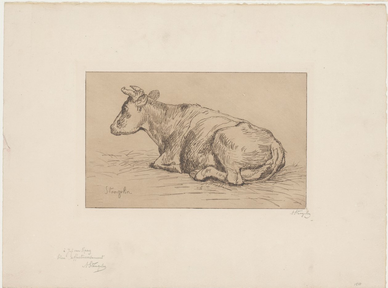 Ležící kráva od Alphonse Stengelin (signed by artist)
