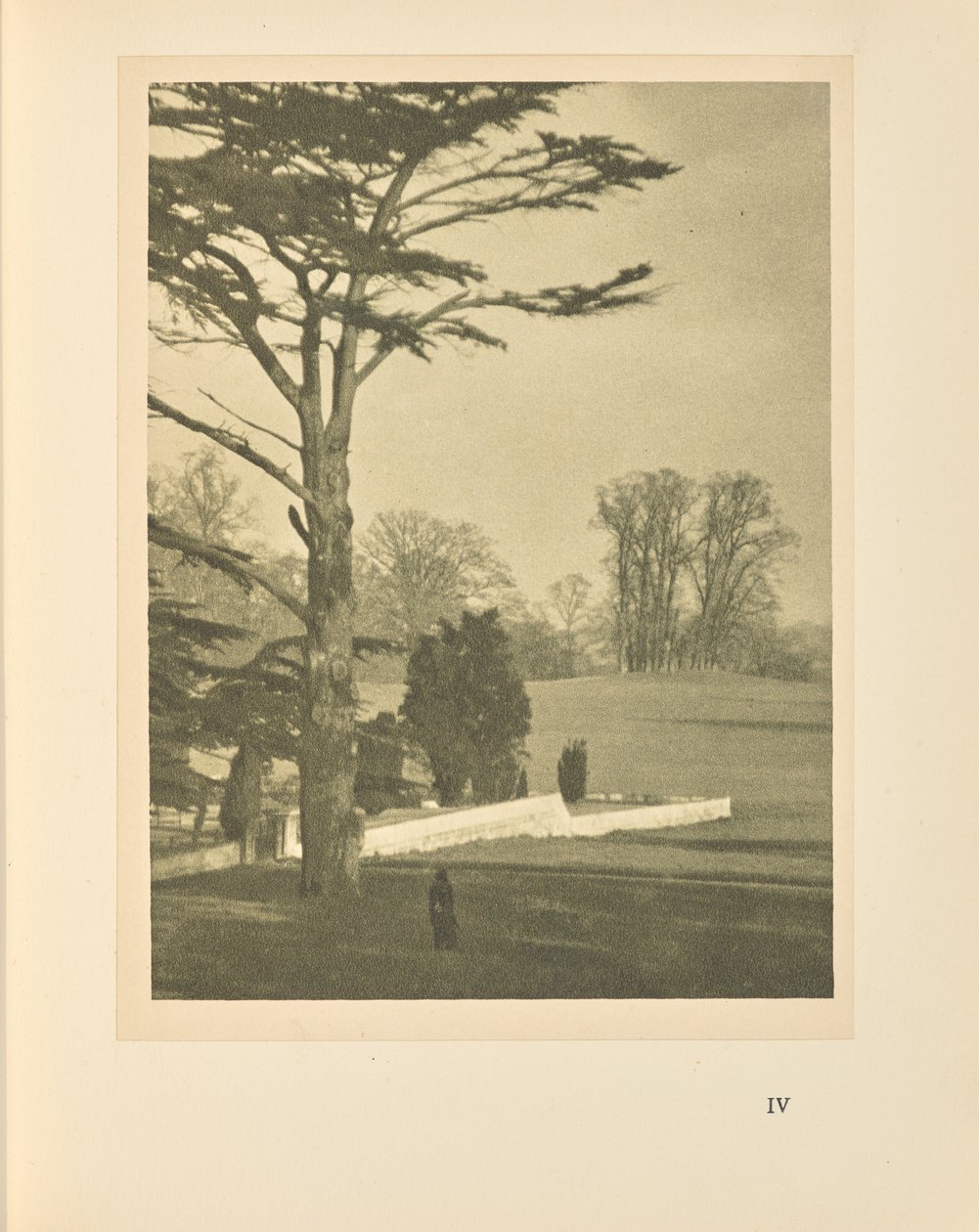 Okraj zahrady od Alvin Langdon Coburn