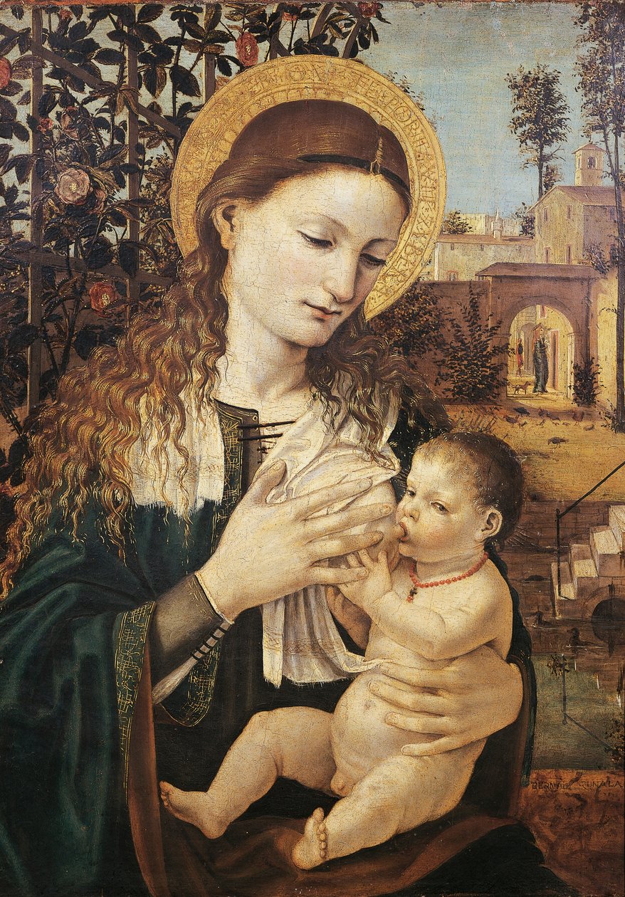 Madonna del Latte, od Ambrose Bergognone (asi 1460-1523) od Ambrogio da Fossano (c.1460 1523)