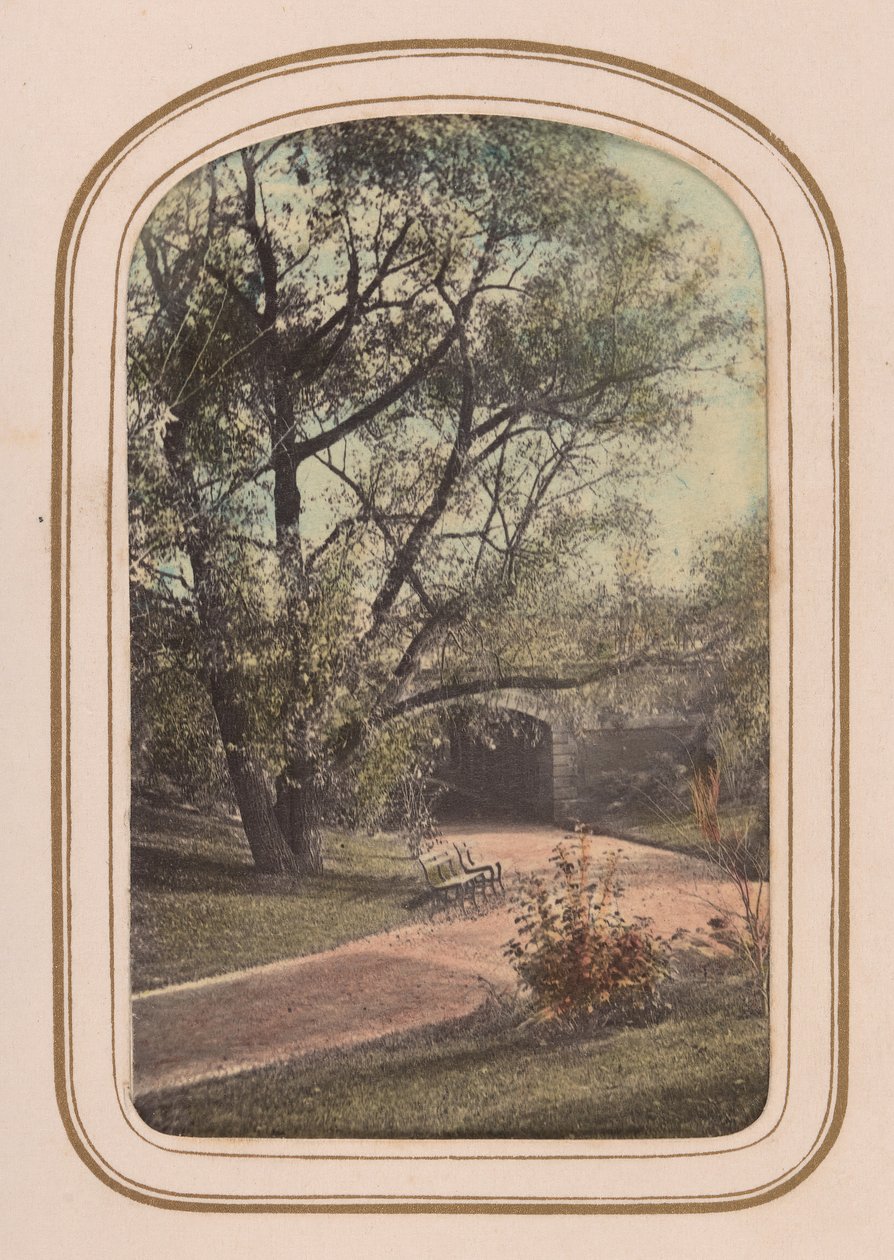 Carte-de-visite album pohledů na Central Park, 60. léta 19. století. od Ambrose Jackson