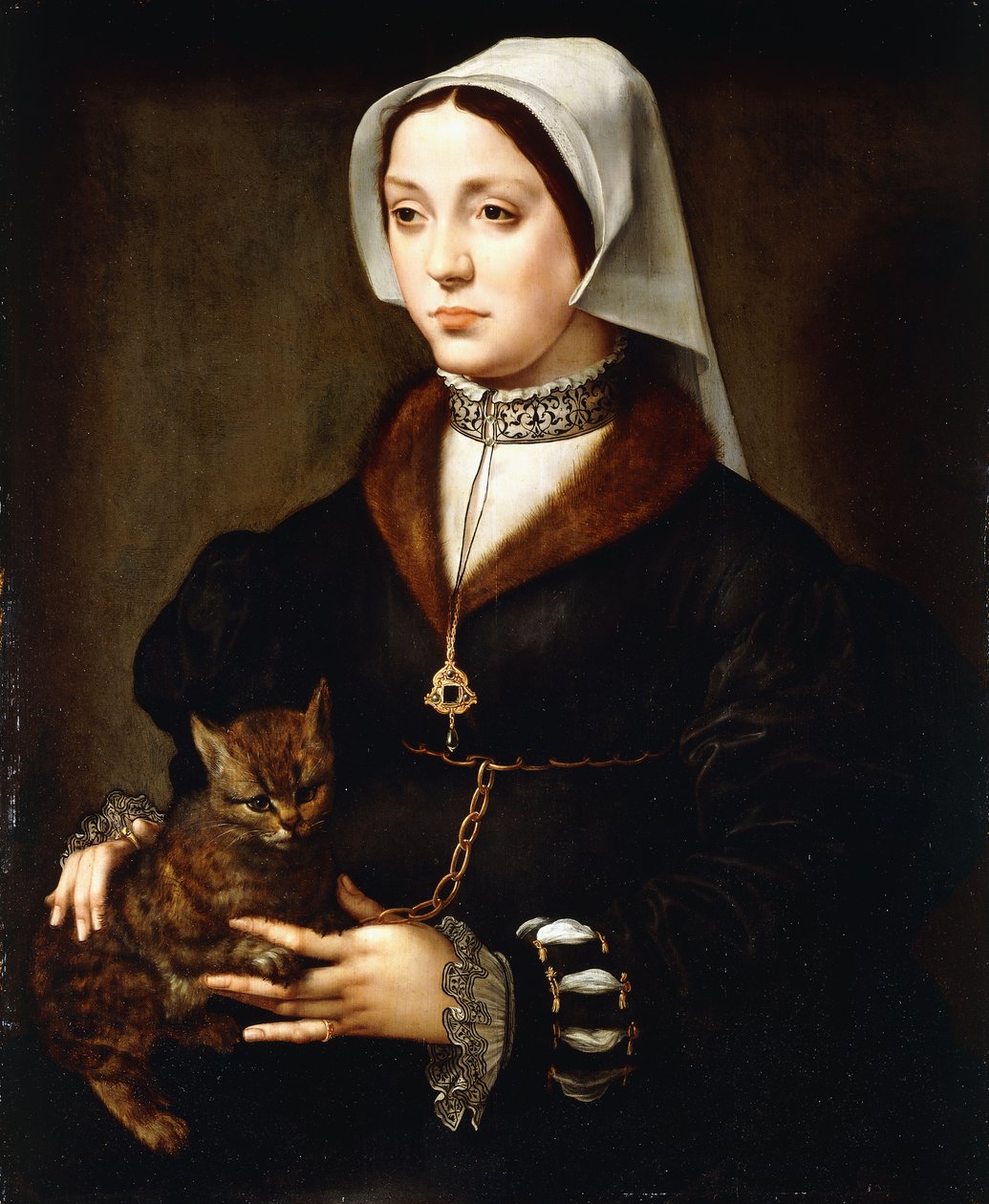 Portrét dámy, tříčtvrteční, v tmavém kostýmu, držící kočku od Ambrosius Benson