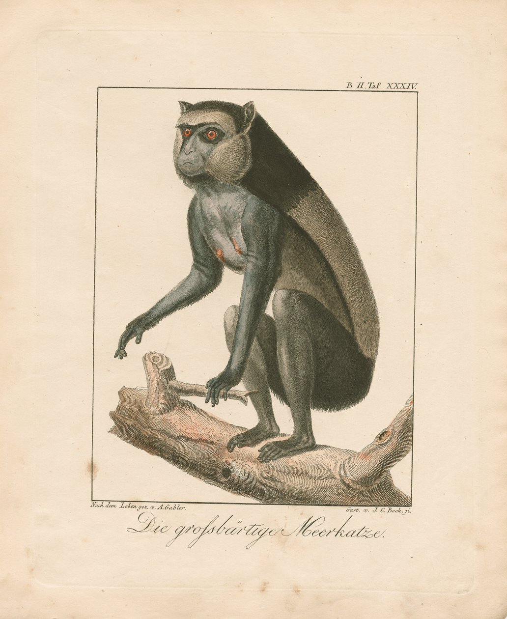  od Ambrosius Gabler