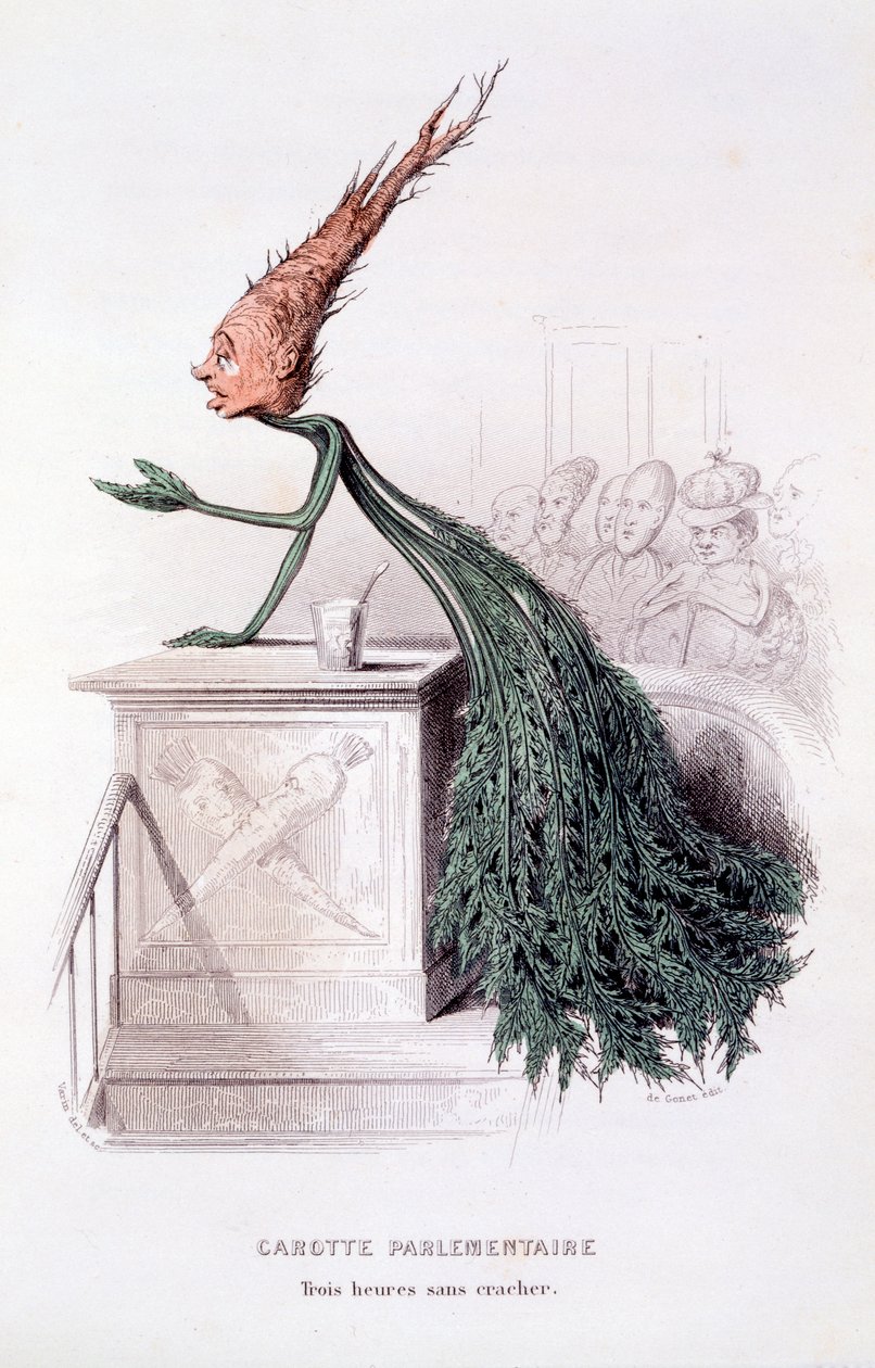 Parlamentní mrkev, ilustrace z 