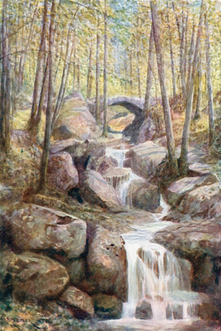 Pont du Prophete, Promenade Meyerbeer, Spa Woods (barevná litografie) od Amedee (after) Forestier