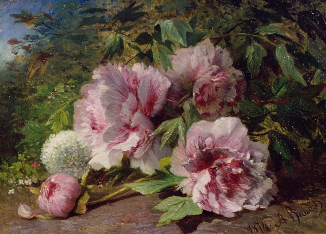 Studie o pivoňkách, 1874 od Amedee Baudit