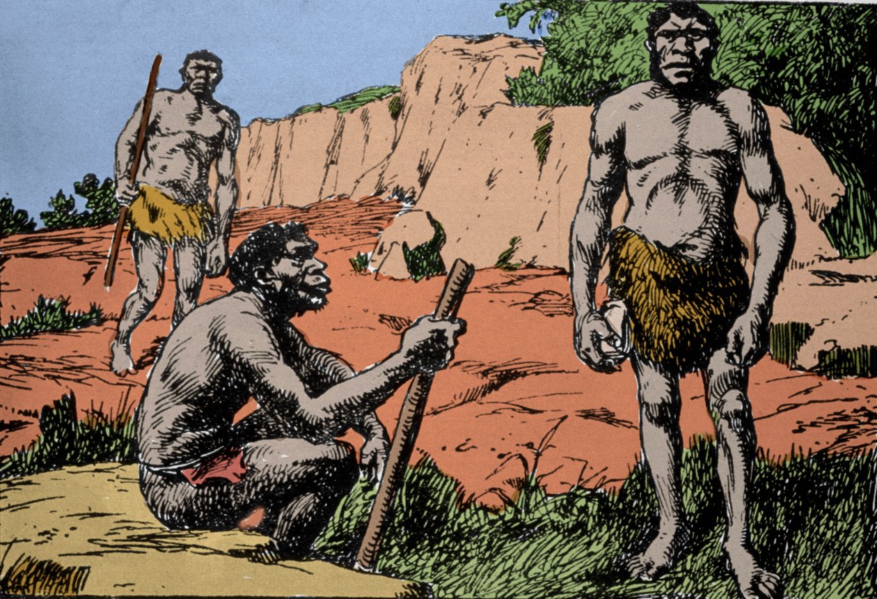 Prehistorie: reprezentace Homo rhodesiensis neboli člověka z Broken Hill, předchůdce Homo sapiens, jehož fosilie byly objeveny v Rhodesii (dnešní Zambie v Africe). Kresba A. Forestier. DR od Amedee Forestier