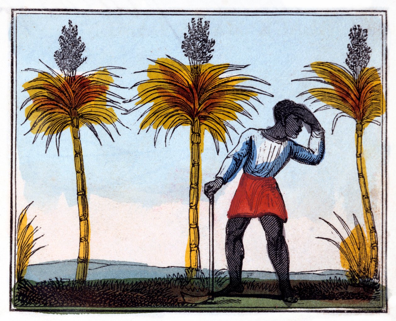 Řezání cukrové třtiny, 1826 od Amelia Alderson Opie