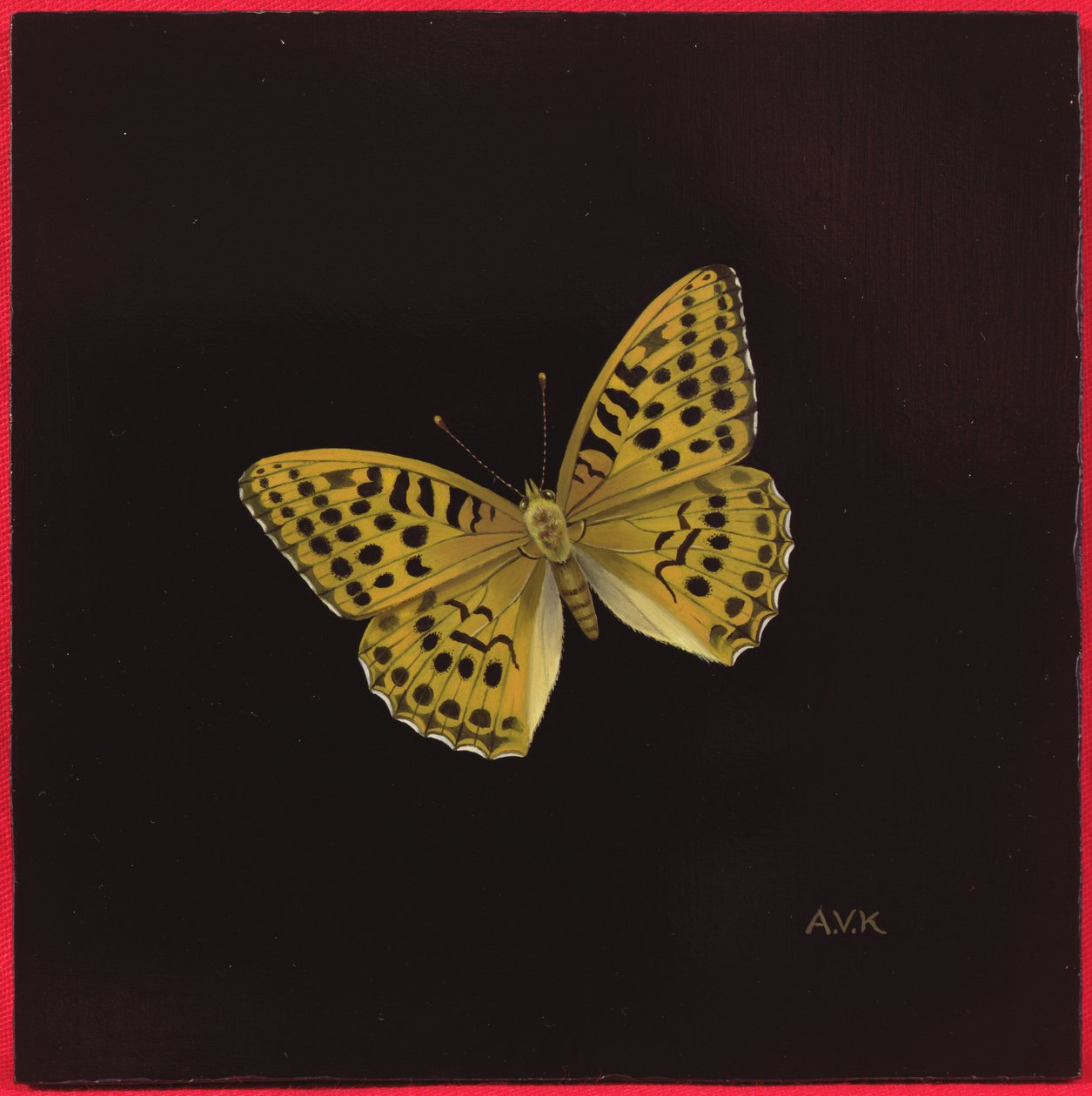 Stříbrný praný fritillary butterfly, 2000 od Amelia Kleiser