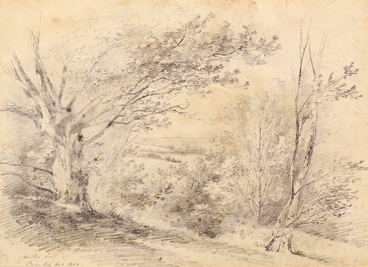Bromley Hill od Amelia Long