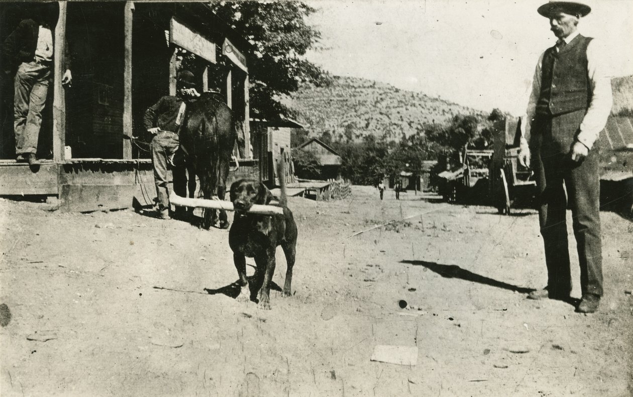 Butch Cassidy (1886-1908) od American Photographer