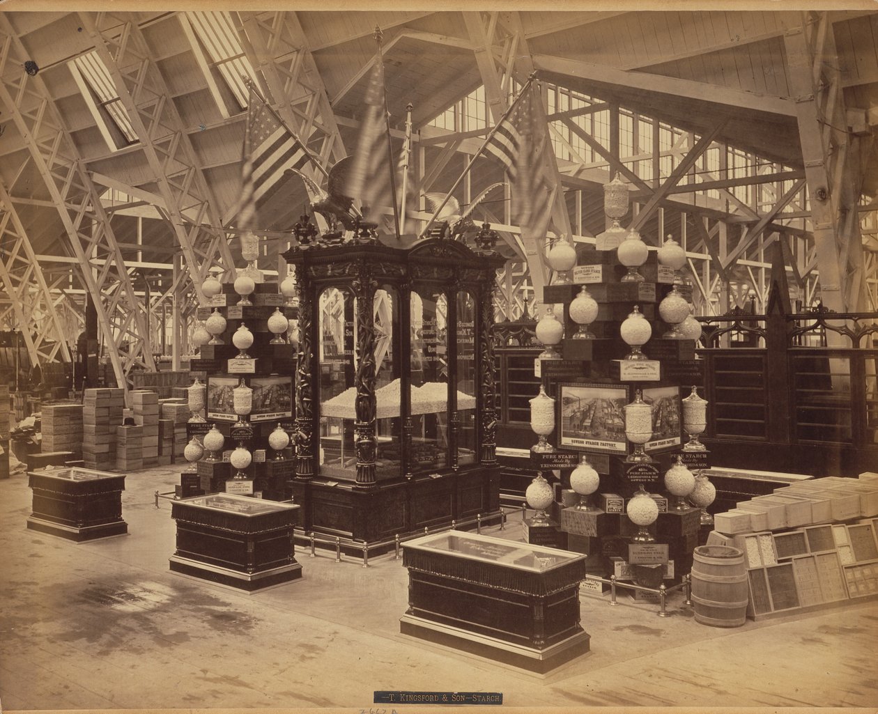 Kingsford, T., & Son, Oswego, N.Y., Exhibit 210, Agricultural Hall, Bldg., 1876 (tisk alba) od American Photographer