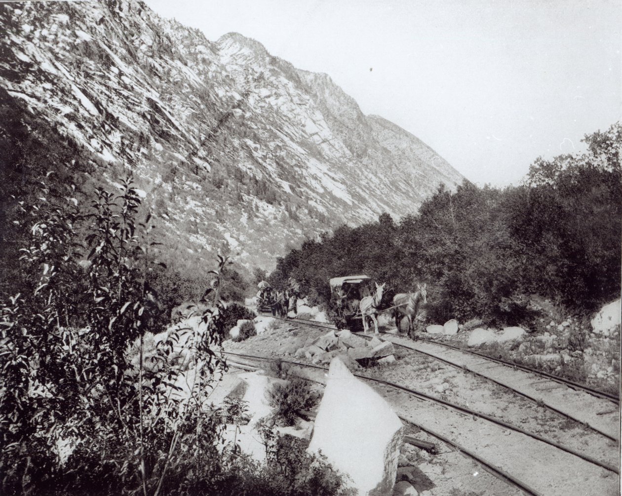 Mula železnice v Severní Americe, konec 19. století od American Photographer