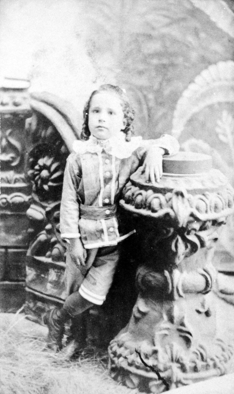 Portrét mladé dívky, c.1860 od American Photographer