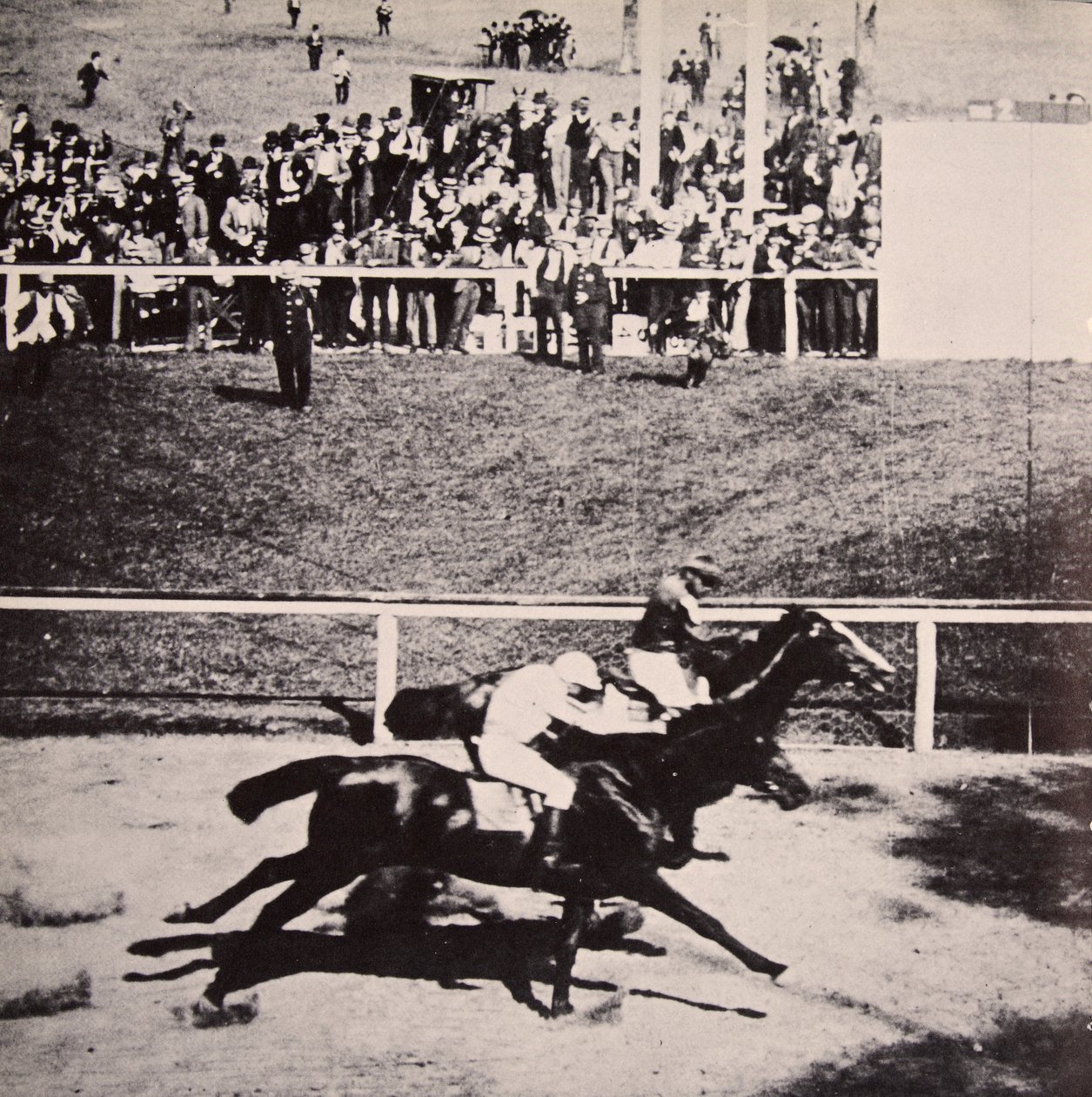 Salvator porazí Tennyho v Sheepshead Bay, Brooklyn, trhnutím krku, 25. června 1890 od American Photographer