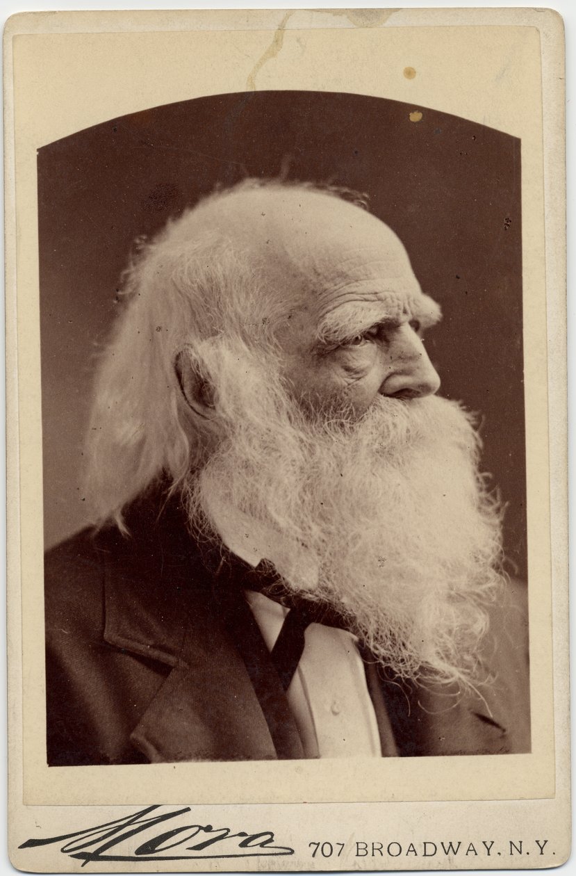 William Cullen Bryant (1794-1878), americký básník, foto Albert J Mora, New York (foto alba) od American Photographer