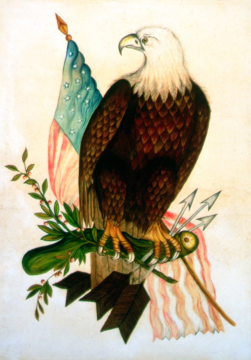 Orel bělohlavý s vlajkou (tempera na sametu) od American School