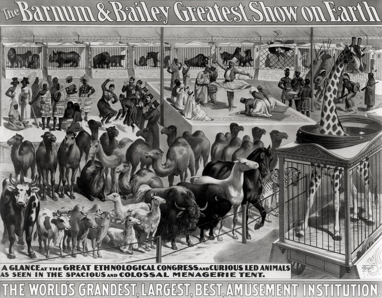 Plakátová reklama „Největší show Barnuma a Bailey na Zemi, největší, největší a nejlepší zábavní instituce na světě“, kolem roku 1895 od American School