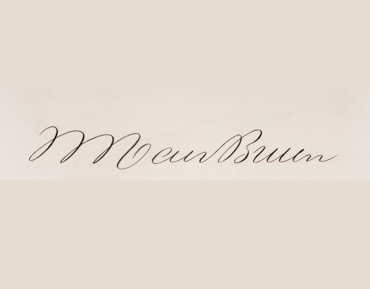 Podpis Martina van Burena od American School