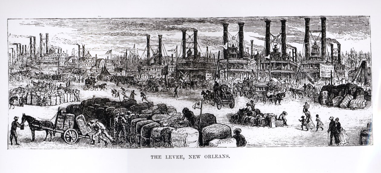 Levee, New Orleans od American School
