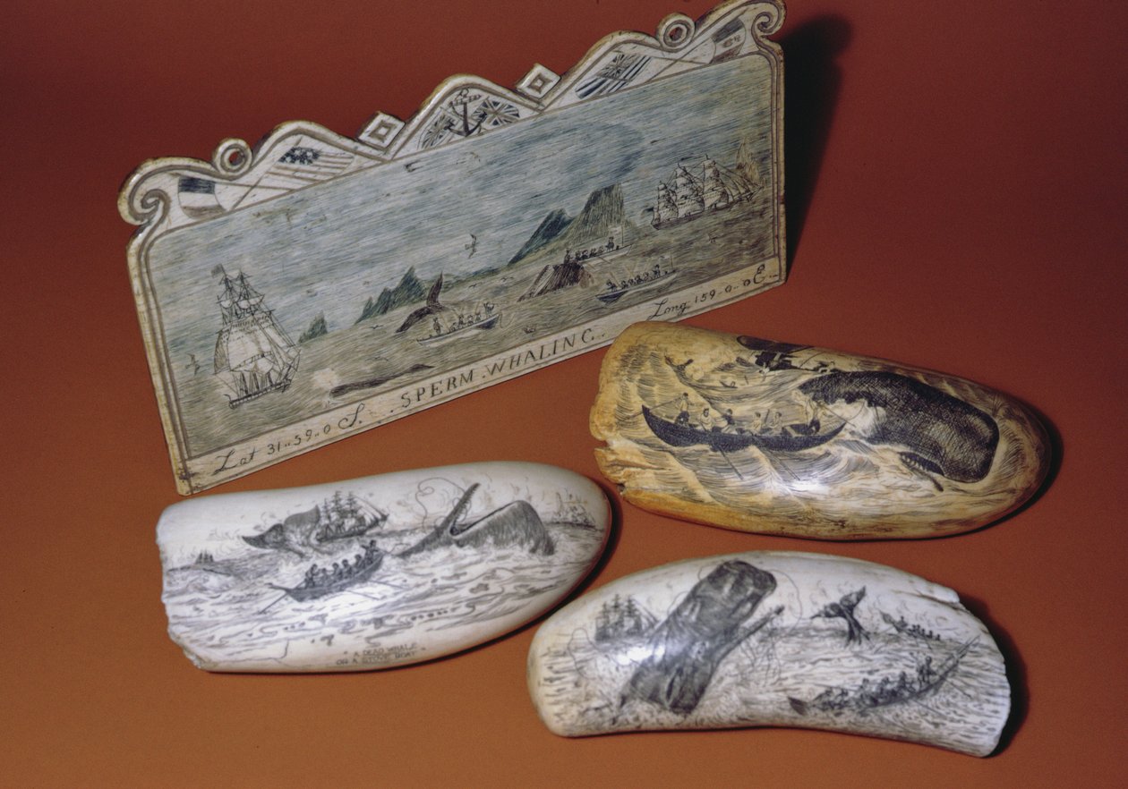 Velrybářský scrimshaw (zub) od American School