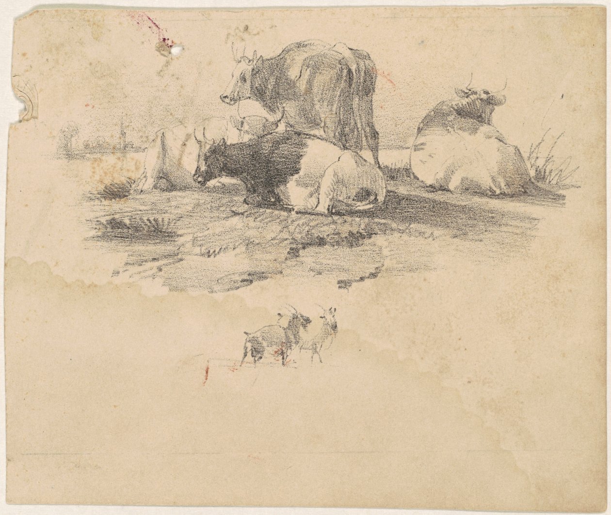 Stáda skotu od American 19th Century