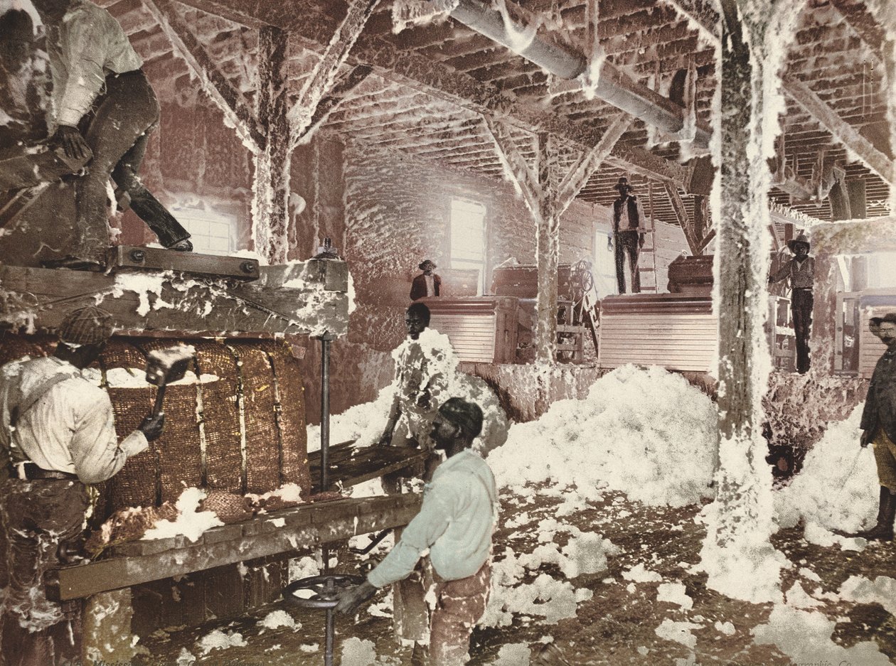 Mississippi Cotton Gin v Dahomey od American 19th Century, Detroit Photographic Company
