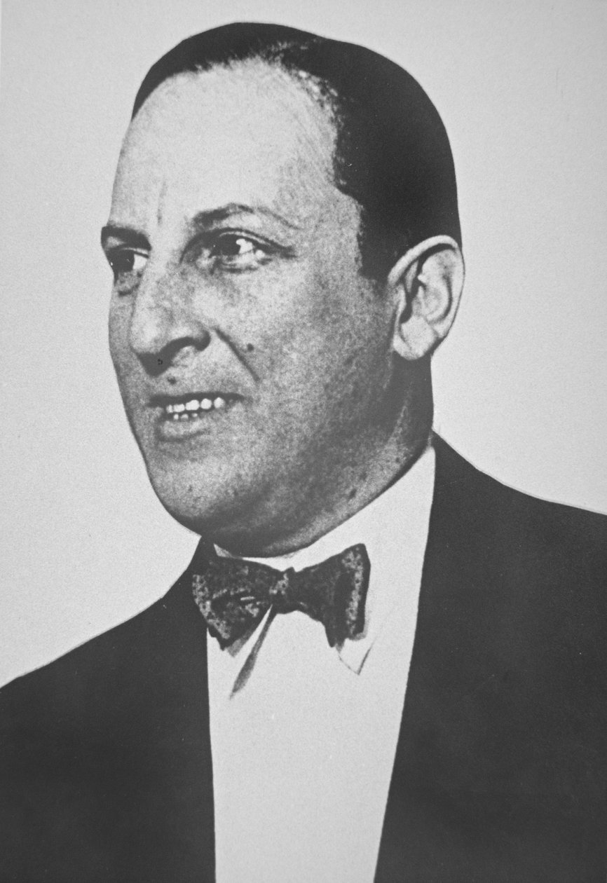 Arnold Rothstein (1882-1928) (černobílá fotografie) od American Photographer