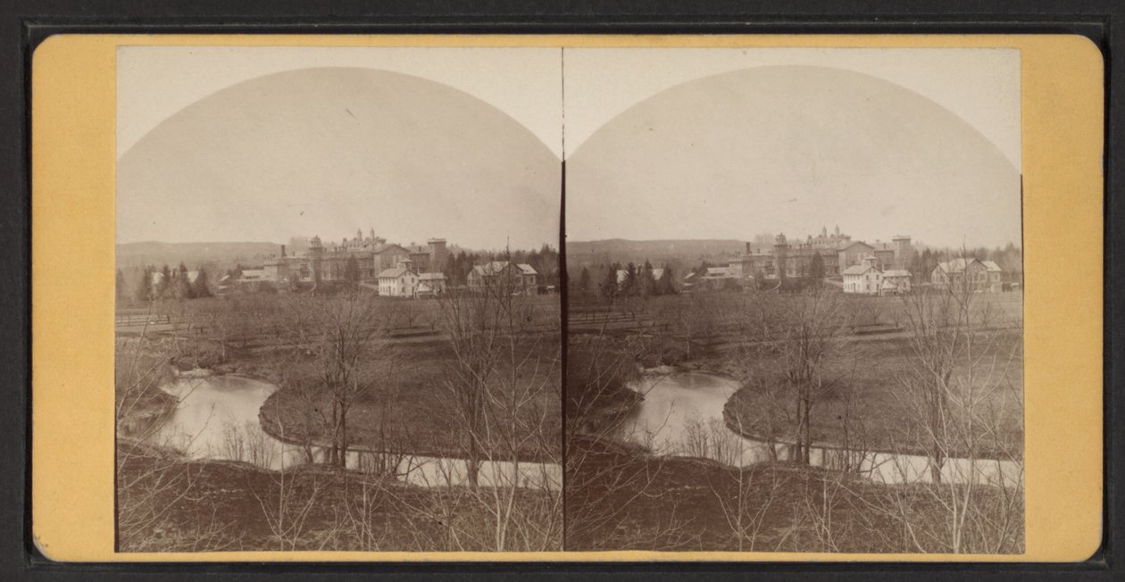 Pohled na domácí budovy z ptačí perspektivy, cca 1870 (č/b foto) od American Photographer