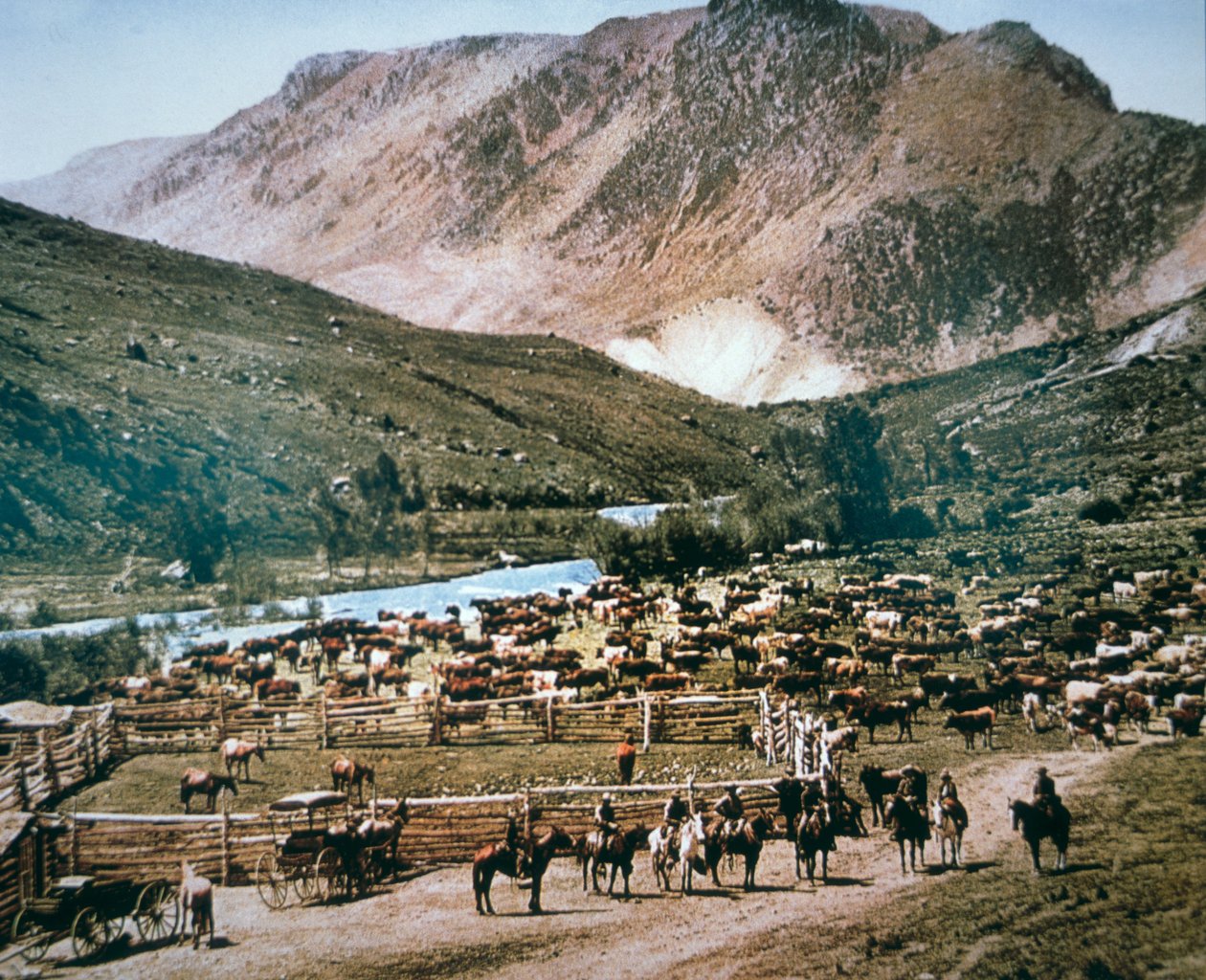 Cattle Ranch, Colorado od American Photographer
