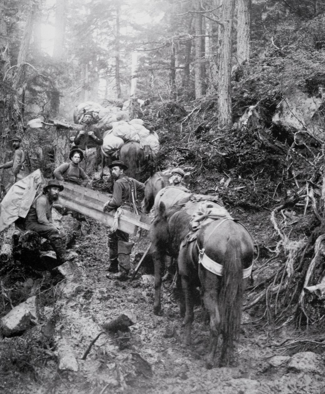 Lezení po Dyea Trail na cestě do Chilkoot Pass během zlaté horečky na Klondike (1897-98) (černobílá fotografie) od American Photographer