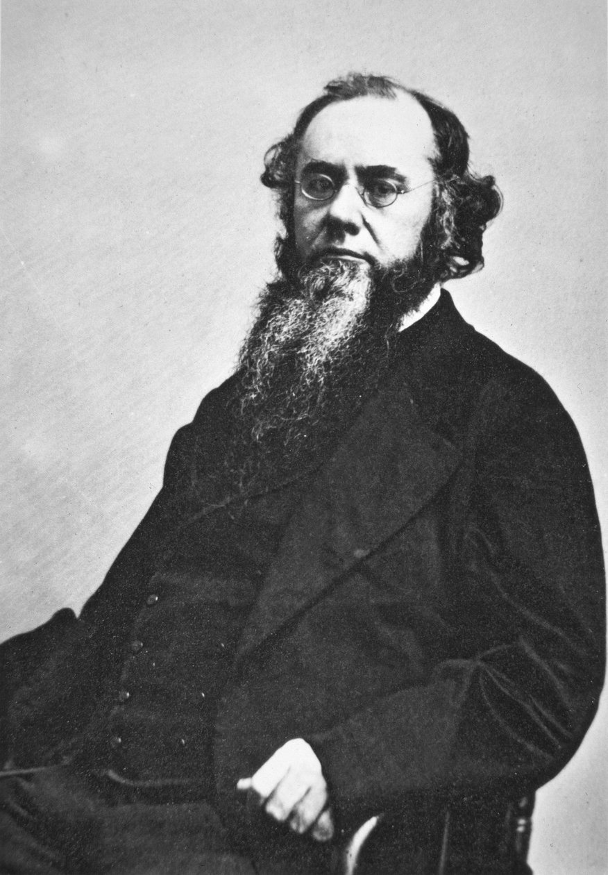 Edwin M. Stanton (1814-69) (černobílá fotografie) od American Photographer