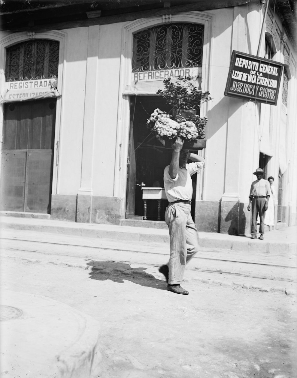 Prodejce květin, Havana, kolem roku 1910 (černobílá fotografie) od American Photographer