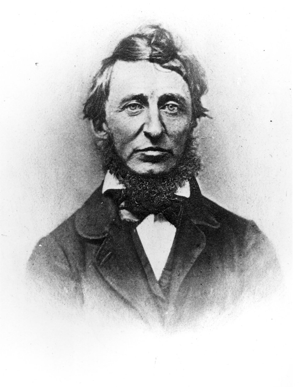 Henry Thoreau (1817-62) od American Photographer