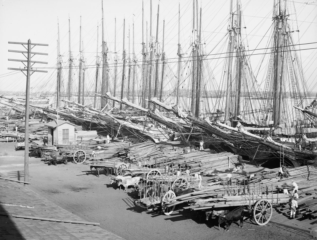 Muelle Tallapiedras, Havana, kolem roku 1904 (černobílá fotografie) od American Photographer