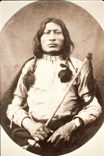 Jeden Býk od American Photographer