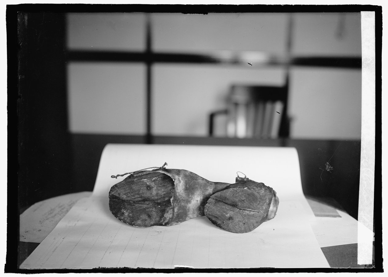 Jednotka zákazu (Kravské boty), 28. června 1924 (čb foto) od American Photographer