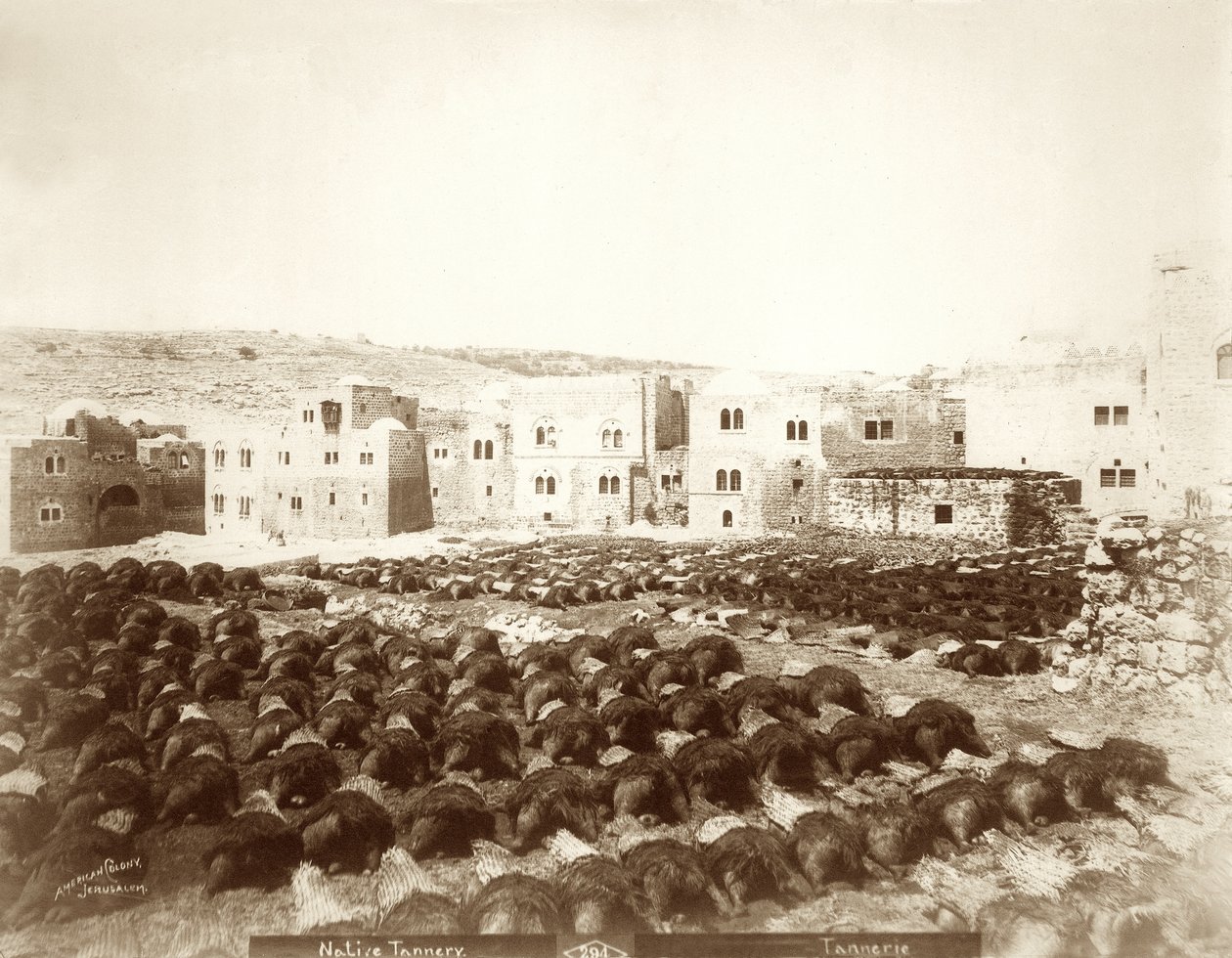 Koželužna v Hebronu s rozloženými kůžemi v popředí, 1898-1911 od American Photographer
