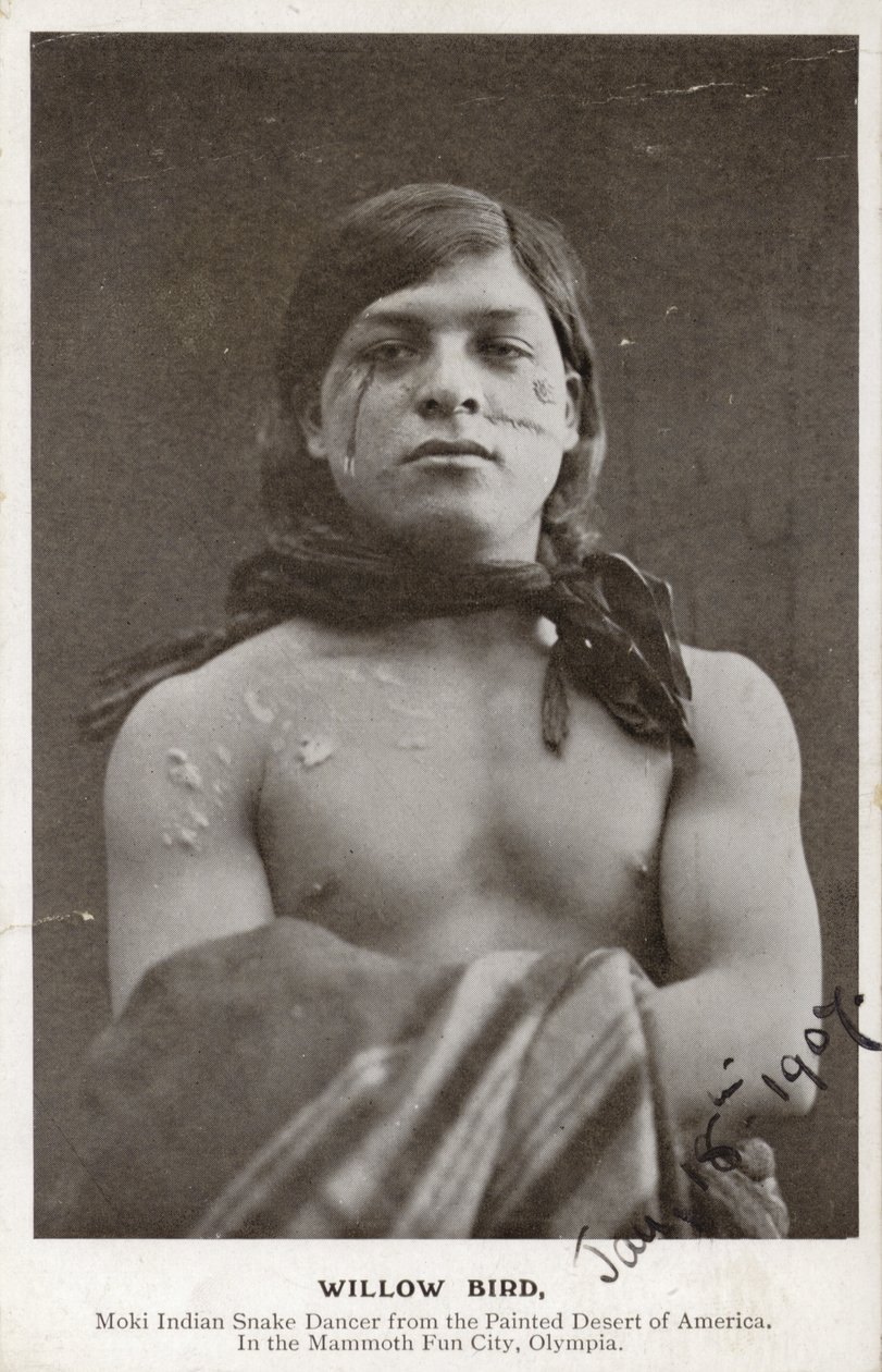 Willow Bird - indiánská hadí tanečnice Moki z malované pouště Ameriky (čb fotografie) od American Photographer