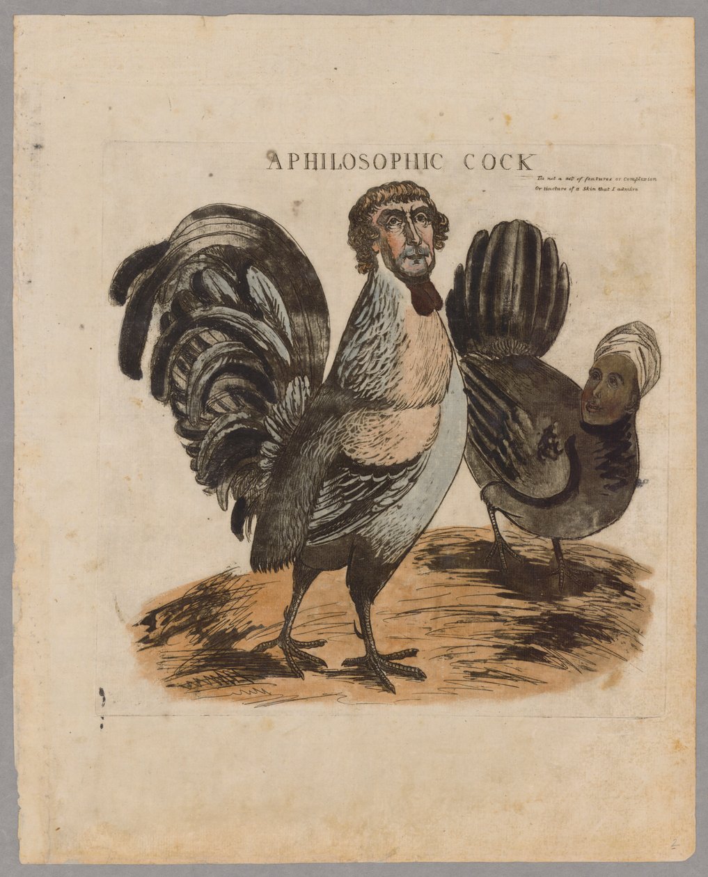 A Philosophic Cock, 1804 od American School