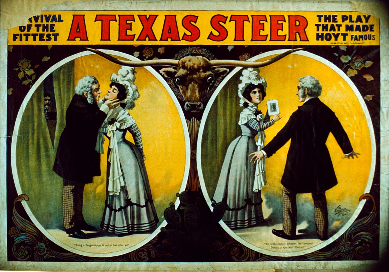 Texas Steer od American School