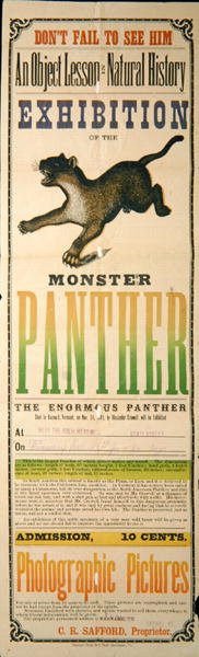 Reklama na výstavu Monster Panther od American School