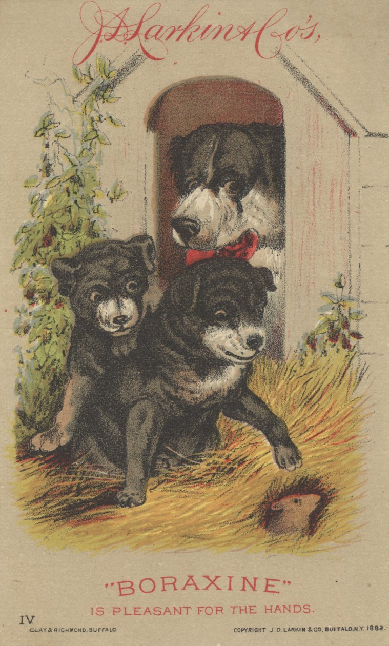 Reklama na boraxin J. D. Larkin & Cos, 1882 od American School